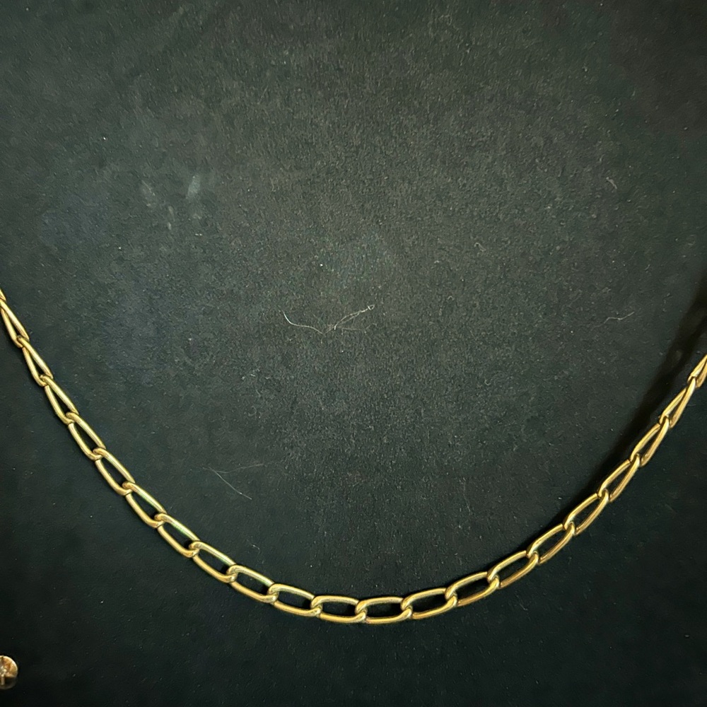 Banana Republic gold chain link necklace.